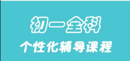 初一語數(shù)外輔導(dǎo)課程