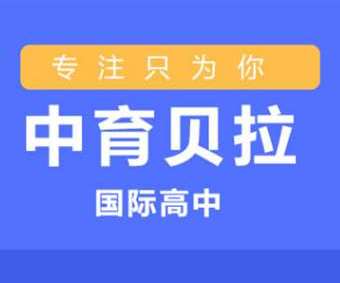 深圳地區(qū)AP考試全科培訓(xùn)學(xué)校匯總一覽十大榜首今日公布