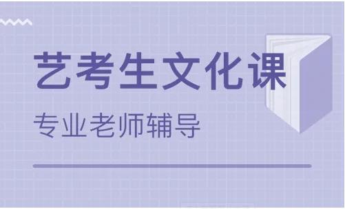 成都藝考文化課沖刺課程輔導機構十大精選排名一覽