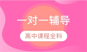 高中全科一對一培訓(xùn)課程