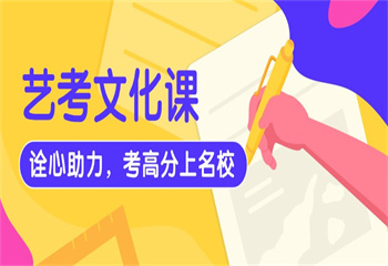 西安藝考文化課輔導(dǎo)課程：