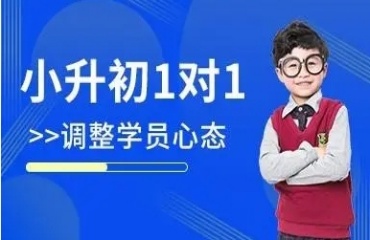 十大甄選2025上海浦東新區(qū)小升初1對1輔導機構排名匯總一覽