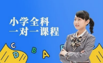 小學(xué)一對(duì)一課程輔導(dǎo)