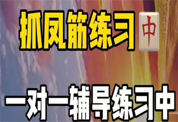 泰國抓龍筋、抓鳳筋手法技術(shù)培訓(xùn)班