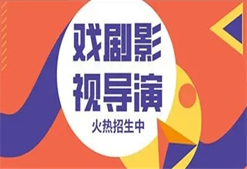 戲劇影視導(dǎo)演專業(yè)