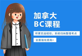 上海BC培訓(xùn)課程精品培訓(xùn)班