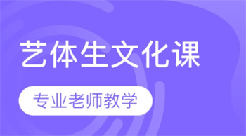 藝體生全日制文化課程