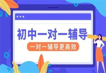 2025山東5大初三數(shù)理化一對(duì)一沖刺輔導(dǎo)機(jī)構(gòu)排名匯總