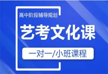 湖北武漢10大高三藝考文化課輔導(dǎo)機構(gòu)排名榜出爐一覽