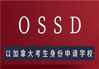 合肥8大OSSD國際課程反響不錯的輔導機構排名介紹